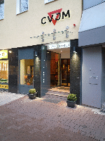 cvjmP1000216